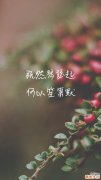 肾石症可以并发哪些疾病？
