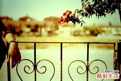 乙型肝炎表面抗体是什么