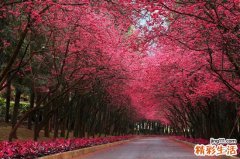 肾虚会有哪些危害？