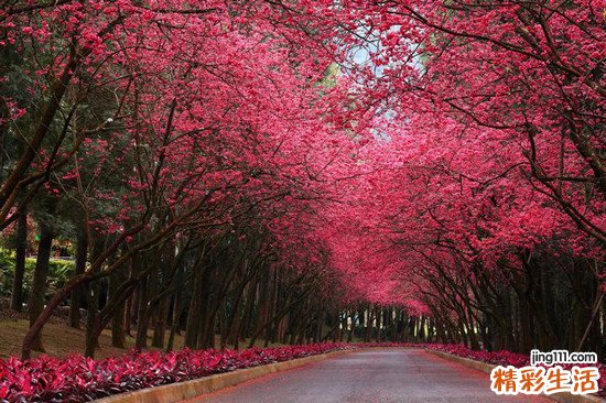 肾虚会有哪些危害？