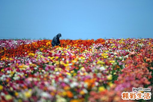 肾虚出现会有哪些危害呢