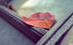 善于“作战”才能击退癌症！