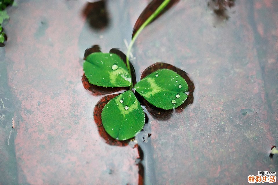 英媒：英国香肠十分之一或携带肝炎病毒