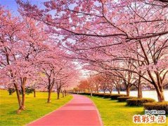 肺络张的症状，肺络张的早期症状，并发症