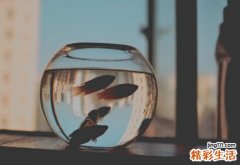 溶组织内阿米巴病会引发哪些并发症