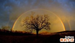 孩子尿路结石 5项注意