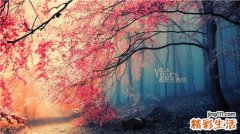 治咽喉炎试试西瓜霜