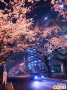 耳垂缺损的诊断_耳垂缺损的鉴别