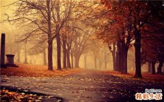 巨膀胱-小结肠-肠蠕动不良综合征的症状，巨膀胱-小结肠-肠蠕动不良综合征的早期症状，并发