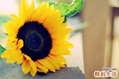 不同地黄丸治不同肾虚 别混着用