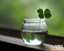 白化病是什么遗传 对我们有哪些影响