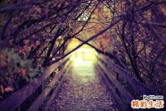 镁过多症引发什么疾病