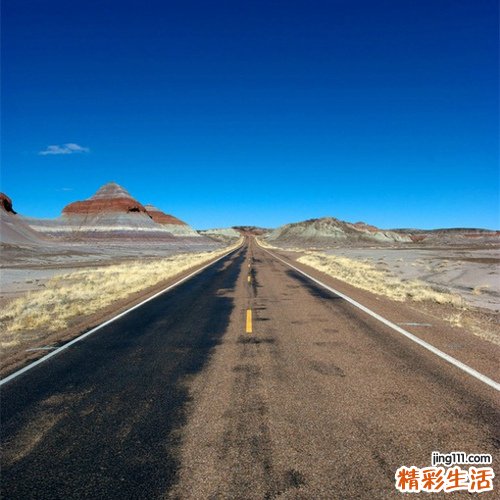 免疫抑制药和抗癌药中毒性肾病引发什么疾病