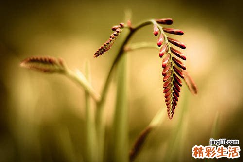 顽固性荨麻疹 日常护理很重要