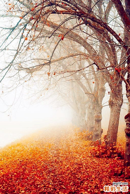 嗜麦芽黄单胞菌肺炎的症状，嗜麦芽黄单胞菌肺炎的早期症状，并发症