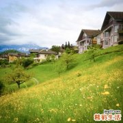 生活规律、饮食有节 治疗胃炎最好的方法