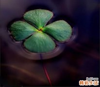 表情迟钝的诊断_表情迟钝的鉴别