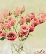 口腔溃疡怎么治疗几种妙招告诉你