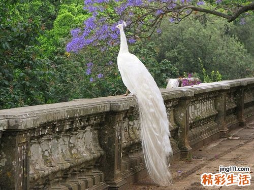 宫颈糜烂表现有哪些 五大表现解疑惑