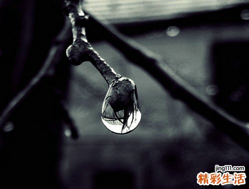 乌梅汤不仅保护肝脏且防宿醉