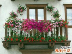 还给弱视的孩子一双慧眼