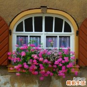 中医治疗手足多汗症两法