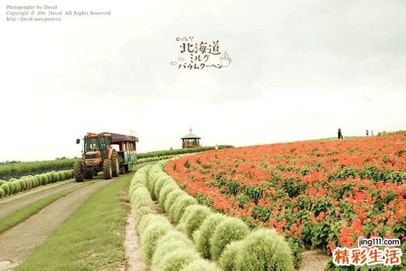 肛门尖锐湿疣易导致什么并发症