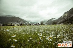 类脂质蛋白沉积症的症状，类脂质蛋白沉积症的早期症状，并发症