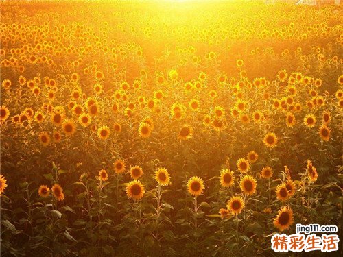 孕妇地中海贫血检查作用