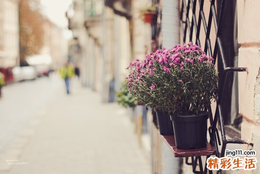 舒张期奔马律的诊断_舒张期奔马律的鉴别