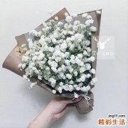 食疗治脱发