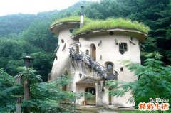 什么是急性阑尾炎病发的原因？