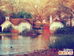 美国研究发现绿茶可预防原发性干燥综合征