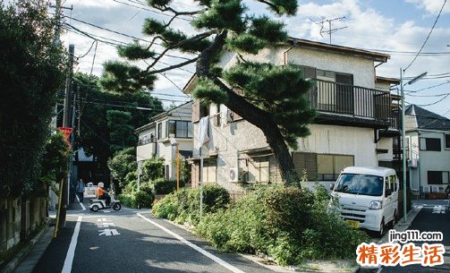 肾结核的预后及其影响因素