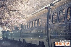 心脏功能变化五阶段 延缓衰退从头抓