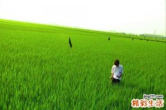 奇！幼儿也会患阴道炎