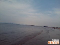 脂肪肝需要用药治疗吗？
