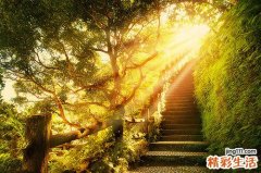早期白细胞计数可作为幼儿患有百日咳诊断指标之一