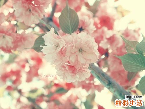 “急救三部曲” 咯血的救命稻草