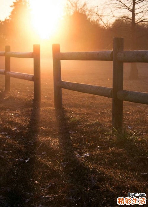 营养不良性肝硬化会引起哪些疾病?
