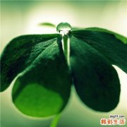 眼部带状疱疹你知多少