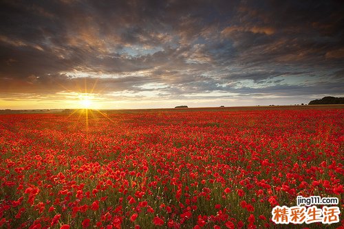 子宫肌瘤的危害归纳为八大类