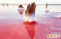 抑郁症的药物治疗分类