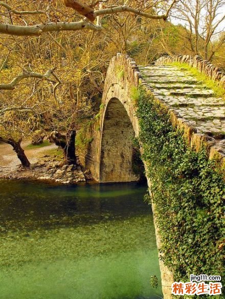 预防前列腺炎要吃什么食物