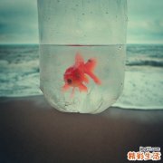 上火口腔溃疡怎么办这些方法让你告别口腔溃疡