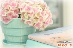 探討舌癌手術(shù)的護(hù)理