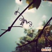 老年性耳聋的辩证治疗