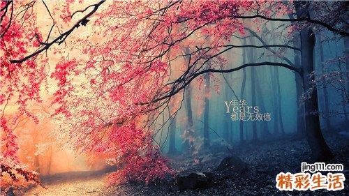 胆囊泥沙样结石是一种特殊情况 怎么处理