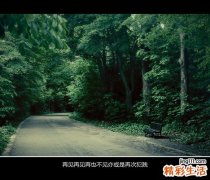 甜食吃多会诱发近视眼、白内障、视神经炎