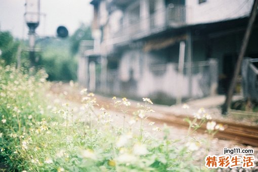 脑器质性精神障碍的诊断_脑器质性精神障碍的鉴别